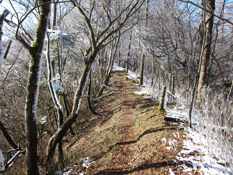 20191129hike (231)